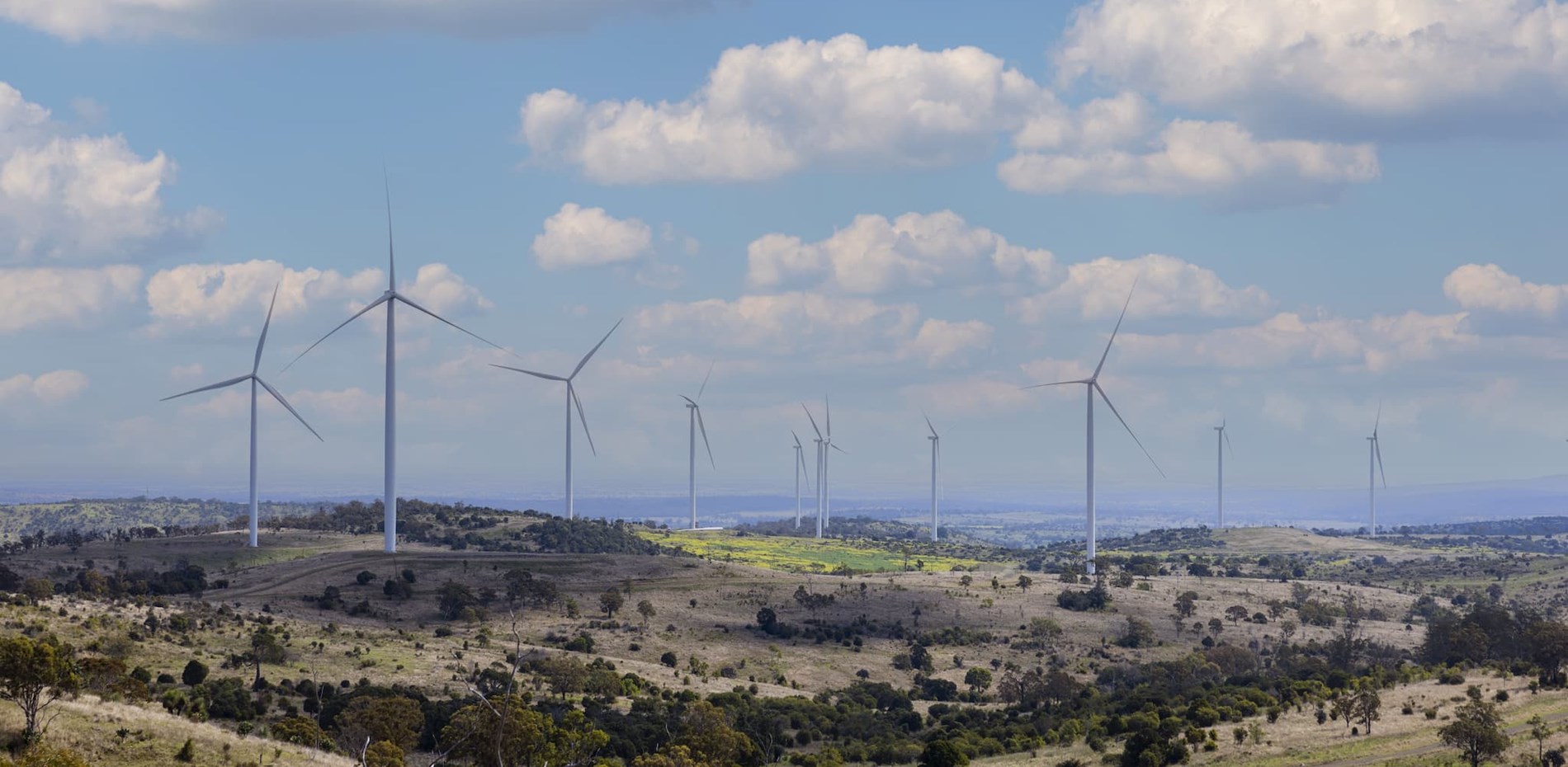 Global renewables giant to propel Queensland’s clean energy future with two new wind farms Main Image